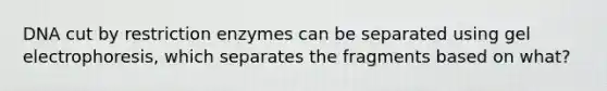 DNA cut by restriction enzymes can be separated using gel electrophoresis, which separates the fragments based on what?