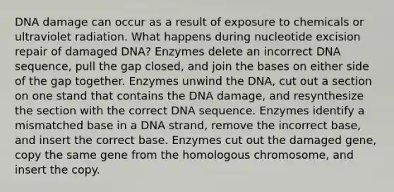 DNA damage can occur as a result of exposure to chemicals or ultraviolet radiation. What happens during nucleotide excision repair of damaged DNA? Enzymes delete an incorrect DNA sequence, pull the gap closed, and join the bases on either side of the gap together. Enzymes unwind the DNA, cut out a section on one stand that contains the DNA damage, and resynthesize the section with the correct DNA sequence. Enzymes identify a mismatched base in a DNA strand, remove the incorrect base, and insert the correct base. Enzymes cut out the damaged gene, copy the same gene from the homologous chromosome, and insert the copy.