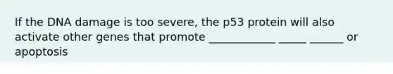 If the DNA damage is too severe, the p53 protein will also activate other genes that promote ____________ _____ ______ or apoptosis