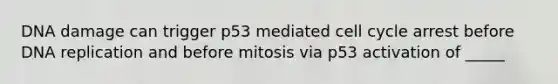 DNA damage can trigger p53 mediated <a href='https://www.questionai.com/knowledge/keQNMM7c75-cell-cycle' class='anchor-knowledge'>cell cycle</a> arrest before <a href='https://www.questionai.com/knowledge/kofV2VQU2J-dna-replication' class='anchor-knowledge'>dna replication</a> and before mitosis via p53 activation of _____