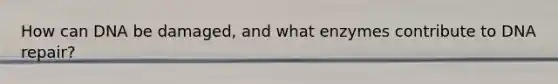 How can DNA be damaged, and what enzymes contribute to DNA repair?