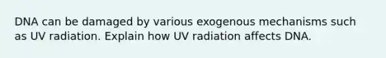 DNA can be damaged by various exogenous mechanisms such as UV radiation. Explain how UV radiation affects DNA.