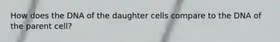 How does the DNA of the daughter cells compare to the DNA of the parent cell?