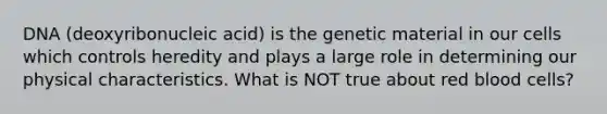 DNA (deoxyribonucleic acid) is the genetic material in our cells which controls heredity and plays a large role in determining our physical characteristics. What is NOT true about red blood cells?