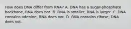 How does DNA differ from RNA? A. DNA has a sugar-phosphate backbone, RNA does not. B. DNA is smaller, RNA is larger. C. DNA contains adenine, RNA does not. D. RNA contains ribose, DNA does not.