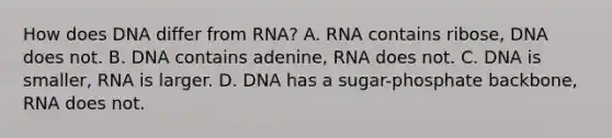 How does DNA differ from RNA? A. RNA contains ribose, DNA does not. B. DNA contains adenine, RNA does not. C. DNA is smaller, RNA is larger. D. DNA has a sugar-phosphate backbone, RNA does not.