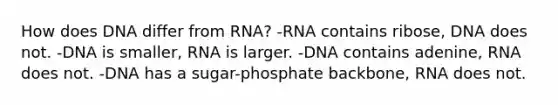 How does DNA differ from RNA? -RNA contains ribose, DNA does not. -DNA is smaller, RNA is larger. -DNA contains adenine, RNA does not. -DNA has a sugar-phosphate backbone, RNA does not.