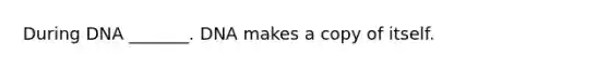 During DNA _______. DNA makes a copy of itself.