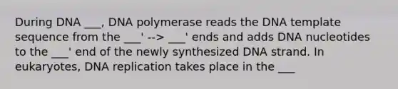 During DNA ___, DNA polymerase reads the DNA template sequence from the ___' --> ___' ends and adds DNA nucleotides to the ___' end of the newly synthesized DNA strand. In eukaryotes, DNA replication takes place in the ___