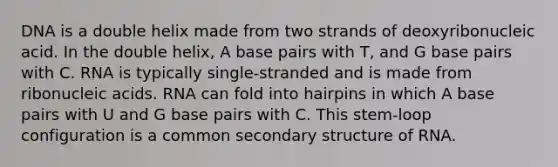 DNA is a double helix made from two strands of deoxyribonucleic acid. In the double helix, A base pairs with T, and G base pairs with C. RNA is typically single-stranded and is made from ribonucleic acids. RNA can fold into hairpins in which A base pairs with U and G base pairs with C. This stem-loop configuration is a common secondary structure of RNA.