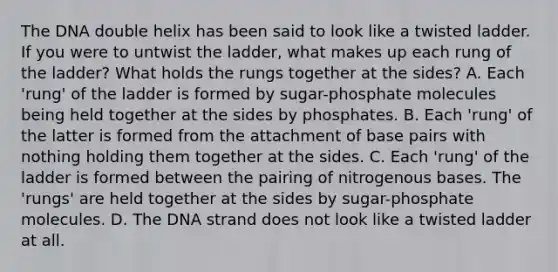 The DNA double helix has been said to look like a twisted ladder. If you were to untwist the ladder, what makes up each rung of the ladder? What holds the rungs together at the sides? A. Each 'rung' of the ladder is formed by sugar-phosphate molecules being held together at the sides by phosphates. B. Each 'rung' of the latter is formed from the attachment of base pairs with nothing holding them together at the sides. C. Each 'rung' of the ladder is formed between the pairing of nitrogenous bases. The 'rungs' are held together at the sides by sugar-phosphate molecules. D. The DNA strand does not look like a twisted ladder at all.