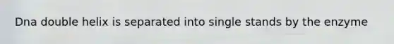 Dna double helix is separated into single stands by the enzyme