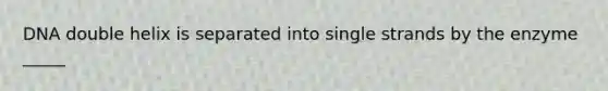 DNA double helix is separated into single strands by the enzyme _____