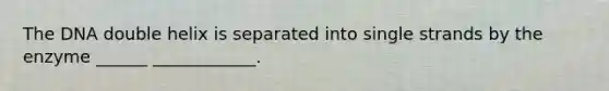 The DNA double helix is separated into single strands by the enzyme ______ ____________.
