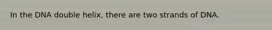 In the DNA double helix, there are two strands of DNA.