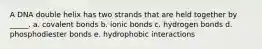 A DNA double helix has two strands that are held together by _____. a. covalent bonds b. ionic bonds c. hydrogen bonds d. phosphodiester bonds e. hydrophobic interactions