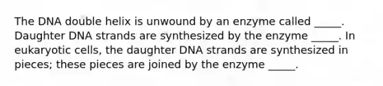 The DNA double helix is unwound by an enzyme called _____. Daughter DNA strands are synthesized by the enzyme _____. In eukaryotic cells, the daughter DNA strands are synthesized in pieces; these pieces are joined by the enzyme _____.