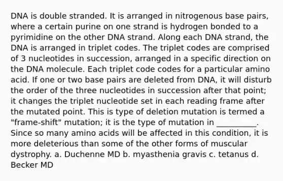 DNA is double stranded. It is arranged in nitrogenous base pairs, where a certain purine on one strand is hydrogen bonded to a pyrimidine on the other DNA strand. Along each DNA strand, the DNA is arranged in triplet codes. The triplet codes are comprised of 3 nucleotides in succession, arranged in a specific direction on the DNA molecule. Each triplet code codes for a particular amino acid. If one or two base pairs are deleted from DNA, it will disturb the order of the three nucleotides in succession after that point; it changes the triplet nucleotide set in each reading frame after the mutated point. This is type of deletion mutation is termed a "frame-shift" mutation; it is the type of mutation in __________. Since so many amino acids will be affected in this condition, it is more deleterious than some of the other forms of muscular dystrophy. a. Duchenne MD b. myasthenia gravis c. tetanus d. Becker MD