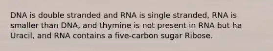 DNA is double stranded and RNA is single stranded, RNA is smaller than DNA, and thymine is not present in RNA but ha Uracil, and RNA contains a five-carbon sugar Ribose.