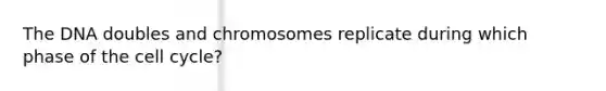 The DNA doubles and chromosomes replicate during which phase of the <a href='https://www.questionai.com/knowledge/keQNMM7c75-cell-cycle' class='anchor-knowledge'>cell cycle</a>?