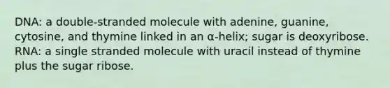 DNA: a double-stranded molecule with adenine, guanine, cytosine, and thymine linked in an α-helix; sugar is deoxyribose. RNA: a single stranded molecule with uracil instead of thymine plus the sugar ribose.