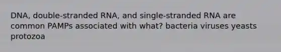DNA, double-stranded RNA, and single-stranded RNA are common PAMPs associated with what? bacteria viruses yeasts protozoa