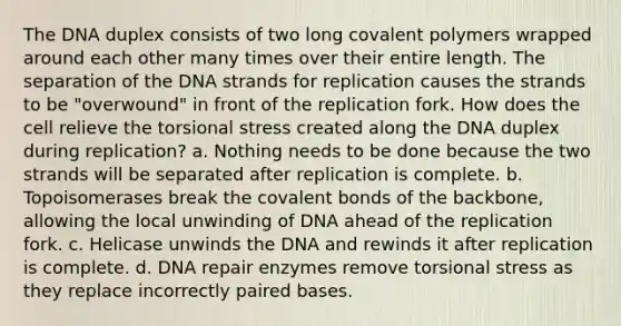 The DNA duplex consists of two long covalent polymers wrapped around each other many times over their entire length. The separation of the DNA strands for replication causes the strands to be "overwound" in front of the replication fork. How does the cell relieve the torsional stress created along the DNA duplex during replication? a. Nothing needs to be done because the two strands will be separated after replication is complete. b. Topoisomerases break the covalent bonds of the backbone, allowing the local unwinding of DNA ahead of the replication fork. c. Helicase unwinds the DNA and rewinds it after replication is complete. d. DNA repair enzymes remove torsional stress as they replace incorrectly paired bases.