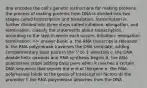 dna encodes the cell's genetic instructions for making proteins. the process of making proteins from DNA is divided into two stages called transcription and translation. transcription is further divided into three steps called initiation, elongation, and termination. classify the statements about transcription according to the step in which each occurs. initiation: elongation: termination: => answer bank: a. the RNA transcript is released b. the RNA polymerase traverses the DNA template, adding complementary base pairs in the 5' to 3' direction c. the DNA double helix unwinds and RNA synthesis begins d. the RNA polymerase stops adding base pairs when it reaches a certain DNA sequence that signals the end of the gene e. the RNA polymerase binds to the group of transcription factors at the promoter f. the RNA polymerase detaches from the DNA