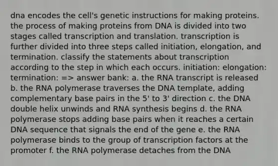 dna encodes the cell's genetic instructions for making proteins. the process of making proteins from DNA is divided into two stages called <a href='https://www.questionai.com/knowledge/kWsjwWywkN-transcription-and-translation' class='anchor-knowledge'>transcription and translation</a>. transcription is further divided into three steps called initiation, elongation, and termination. classify the statements about transcription according to the step in which each occurs. initiation: elongation: termination: => answer bank: a. the RNA transcript is released b. the RNA polymerase traverses the DNA template, adding complementary base pairs in the 5' to 3' direction c. the DNA double helix unwinds and RNA synthesis begins d. the RNA polymerase stops adding base pairs when it reaches a certain DNA sequence that signals the end of the gene e. the RNA polymerase binds to the group of <a href='https://www.questionai.com/knowledge/kvTL0L7cLm-transcription-factors' class='anchor-knowledge'>transcription factors</a> at the promoter f. the RNA polymerase detaches from the DNA