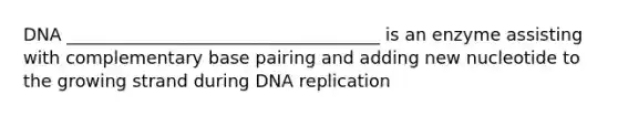 DNA ____________________________________ is an enzyme assisting with complementary base pairing and adding new nucleotide to the growing strand during DNA replication