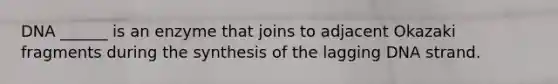 DNA ______ is an enzyme that joins to adjacent Okazaki fragments during the synthesis of the lagging DNA strand.