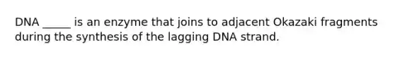 DNA _____ is an enzyme that joins to adjacent Okazaki fragments during the synthesis of the lagging DNA strand.