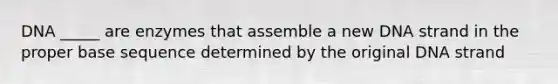 DNA _____ are enzymes that assemble a new DNA strand in the proper base sequence determined by the original DNA strand