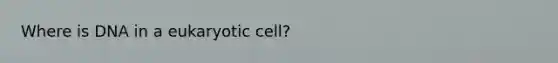 Where is DNA in a eukaryotic cell?