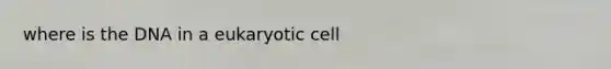 where is the DNA in a eukaryotic cell