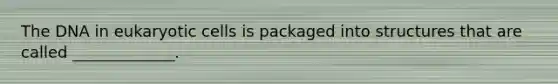 The DNA in eukaryotic cells is packaged into structures that are called _____________.