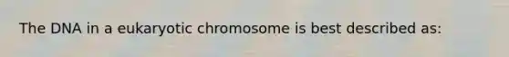 The DNA in a eukaryotic chromosome is best described as: