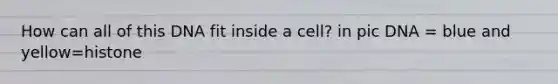 How can all of this DNA fit inside a cell? in pic DNA = blue and yellow=histone