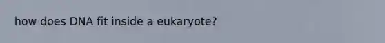 how does DNA fit inside a eukaryote?