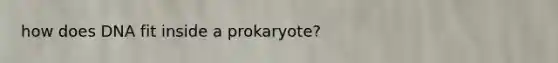 how does DNA fit inside a prokaryote?