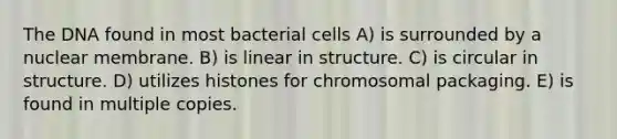 The DNA found in most bacterial cells A) is surrounded by a nuclear membrane. B) is linear in structure. C) is circular in structure. D) utilizes histones for chromosomal packaging. E) is found in multiple copies.