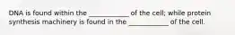 DNA is found within the ____________ of the cell; while protein synthesis machinery is found in the ____________ of the cell.