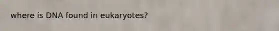 where is DNA found in eukaryotes?