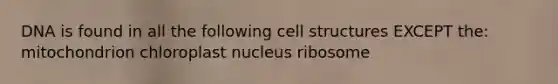 DNA is found in all the following cell structures EXCEPT the: mitochondrion chloroplast nucleus ribosome