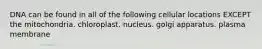 DNA can be found in all of the following cellular locations EXCEPT the mitochondria. chloroplast. nucleus. golgi apparatus. plasma membrane