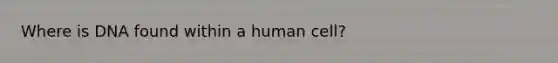 Where is DNA found within a human cell?