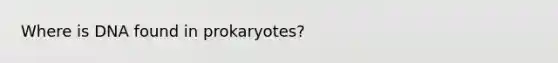 Where is DNA found in prokaryotes?