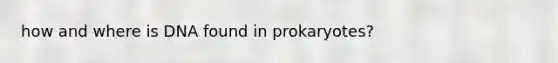 how and where is DNA found in prokaryotes?