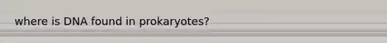 where is DNA found in prokaryotes?