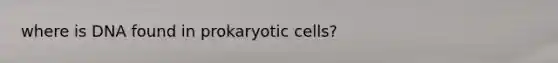 where is DNA found in prokaryotic cells?